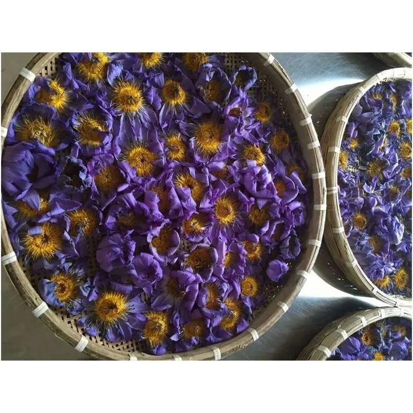 Couronnes de fleurs décoratives Lotus bleu séché fleur entière Nymphaea Caerea 210317 livraison directe maison jardin fête fournitures Dhwx9