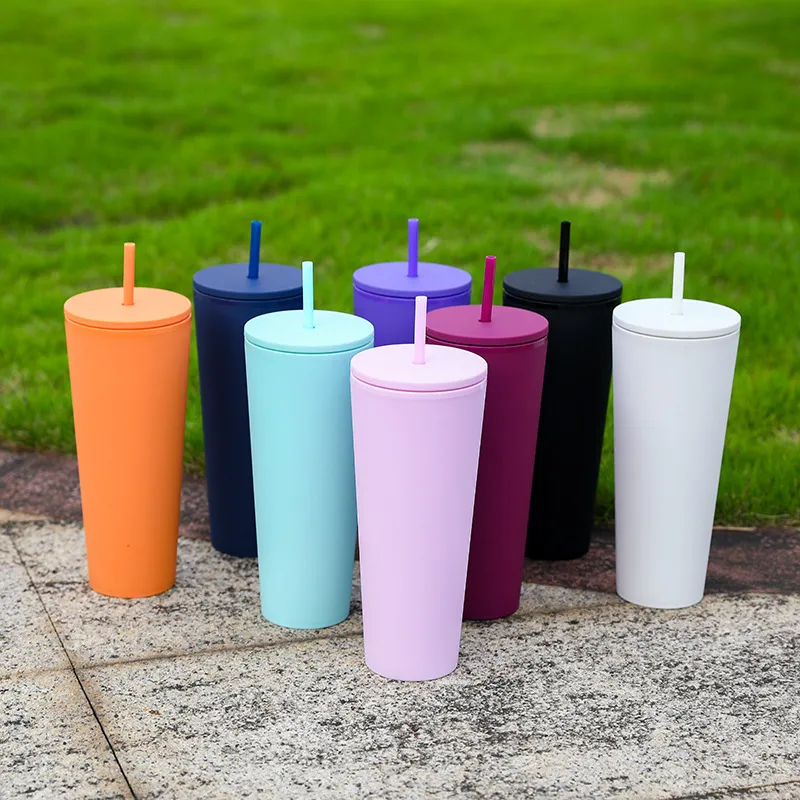 25oz 750ml pastel mat renkli çift duvarlı mat akrilik plastik yeniden kullanılabilir boş skinny tumbler vinil için plastik saman ile özelleştirilebilir DIY hediyeleri