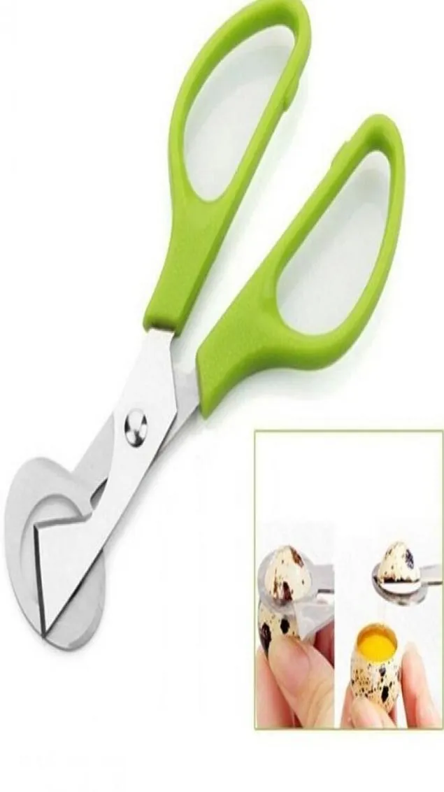 Pombo codorna ovo tesoura pássaro cortador abridor de ovo slicers cozinha dona de casa ferramenta clipper acessórios gadgets conveniência lx23892787077