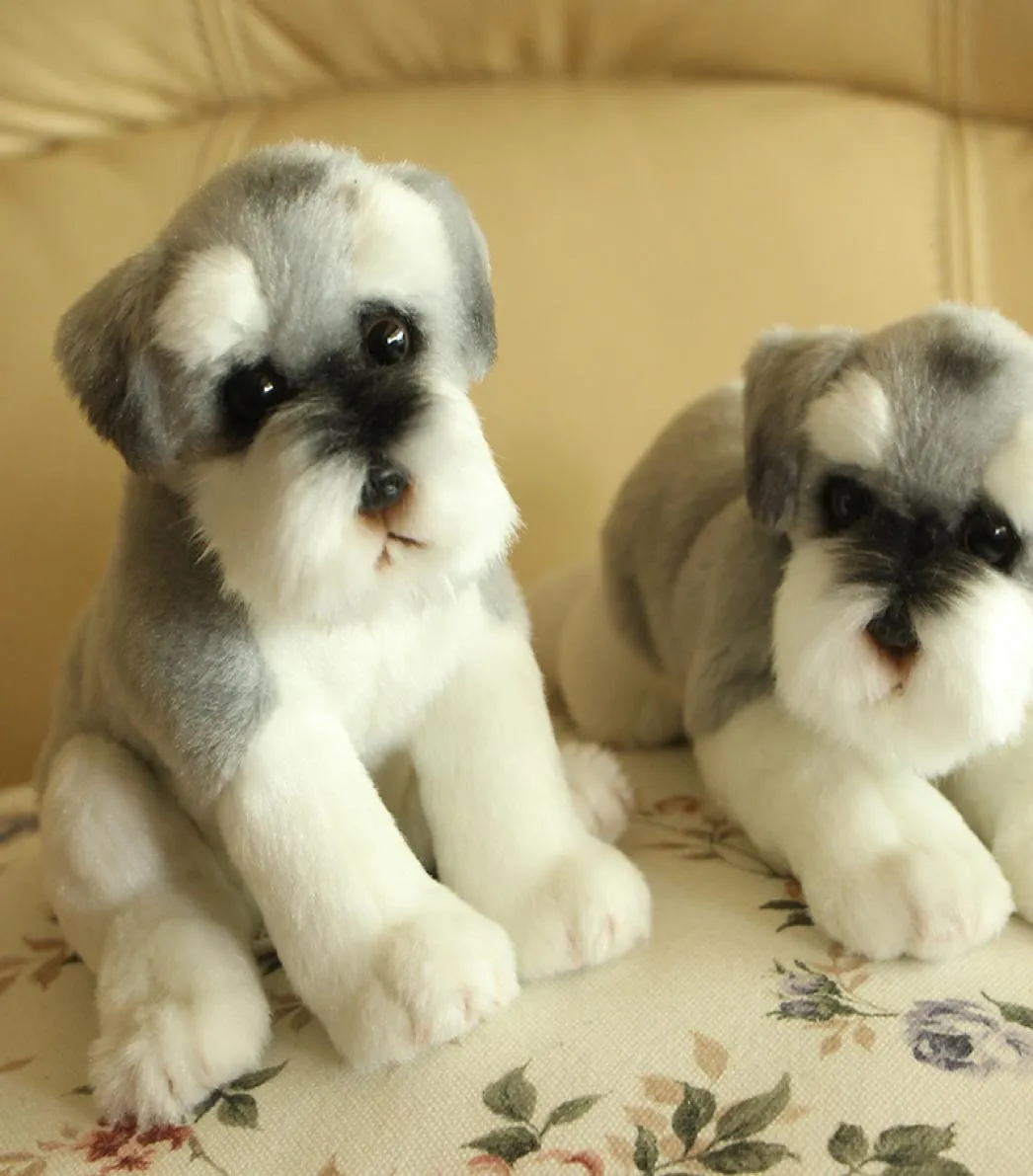 Simulazione Schnauzer Cane Peluche Peluche Giocattolo realistico di altissima qualità per decorazioni per la casa di lusso Regalo per amanti degli animali Clever7760484