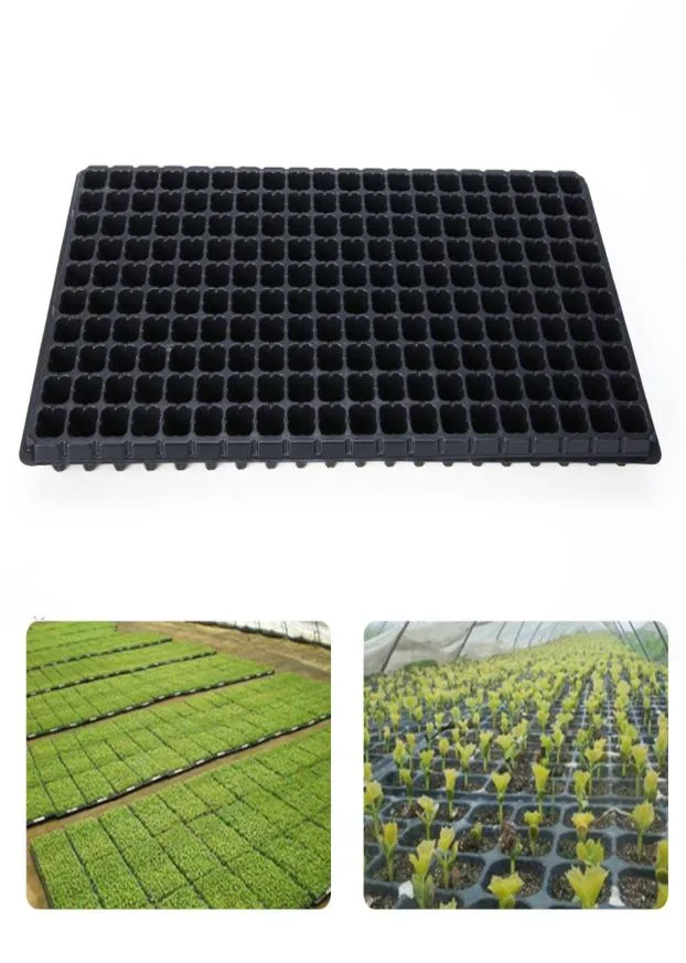 200 Zellen Sämling Starter Tablett Extra Stärke Samen Keimung Pflanze Blumentöpfe Kindergarten Grow Box Vermehrung Für Garten7786680