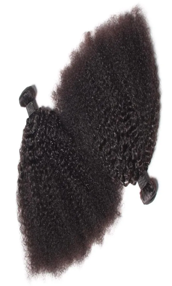 Brésilien Vierge Cheveux Humains Afro Crépus Bouclés Vague Non Transformés Remy Cheveux Tisse Double Trames 100gBundle 2bundlelot Peut être Teint Bl5531727