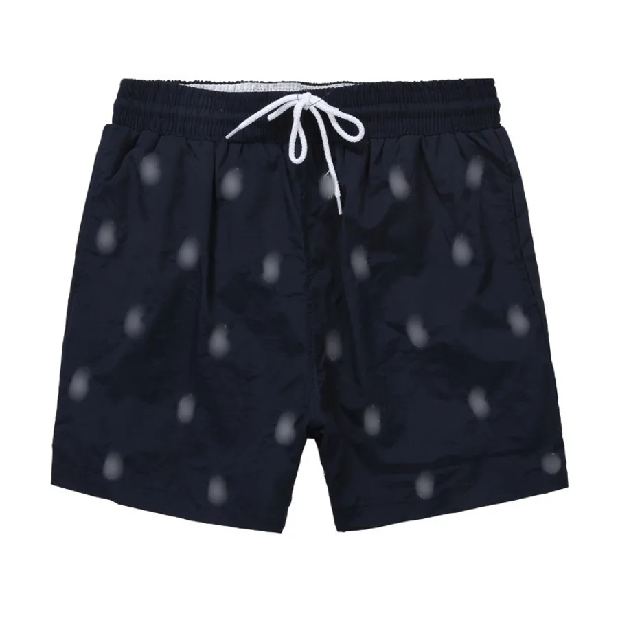 Zomershorts 2024 Heren Oorlogspaardborduurwerk Ademend Strand Korte Polo Sneldrogende Surf Mesh-stof kort