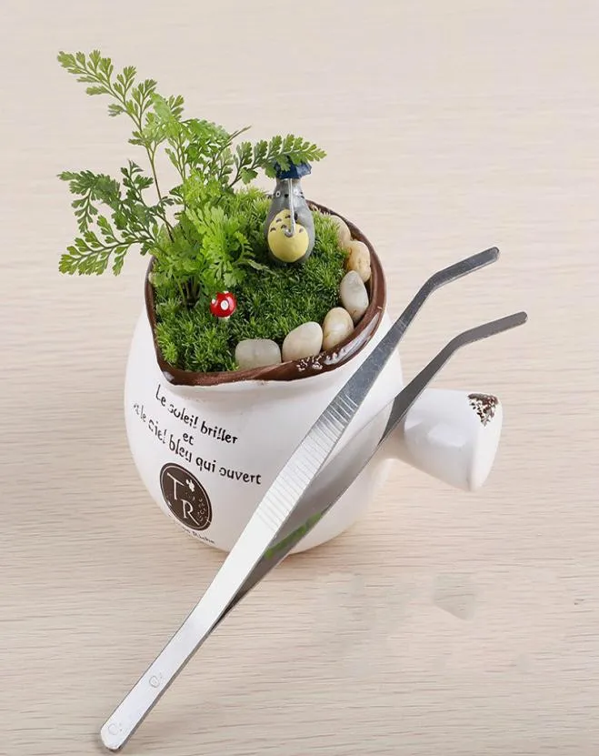 Rechte bocht RVS pincet Mos Micro Landschapsornamenten Speciaal tuingereedschap DIY ZAKKA Fairy Garden Bonsai Craft 9802071
