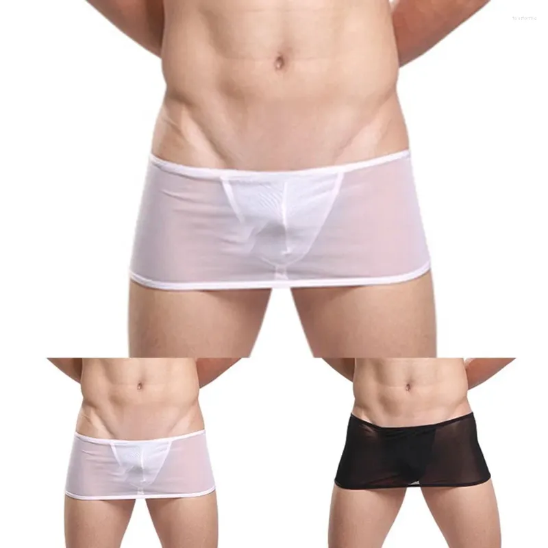 Cuecas masculinas ultra-finas tanga calcinha transparente saia t-back sólido sedutor roupa interior sexy sheer briefs lingerie erótica