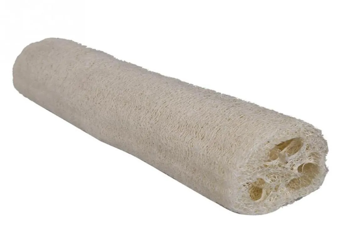 WholeNatural Luffa Luffa Loofa bain douche lavage corps Pot bol éponge épurateur outil 2126920