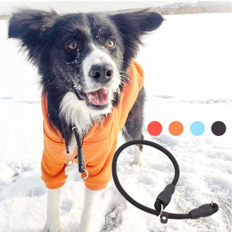 Dog Collars Pet P Rope Training Accessories Nylon Collar Medium Large Chain Natural Shrinkage Explosion-proof Impact