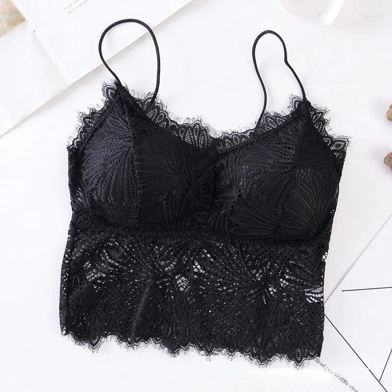 Sutiãs senhoras cinta fina renda beleza volta envoltório tubo de mama top sem anel de aço com almofada de peito camisola sexy copo completo lingerie