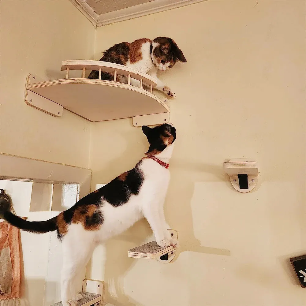 Wall Mounted Cat Climbing Cat Tower And Scratching Post Wall