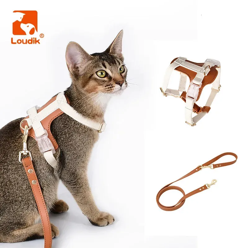 Loudik Pettorina e guinzaglio morbidi per gatti alla moda Set regolabili personalizzati in pelle impermeabile Guinzagli per piccoli animali da passeggio all'aperto 240229