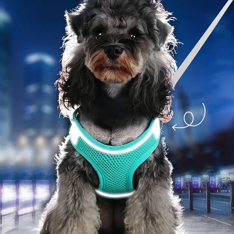 Adjustable Reflective Vest Chest Rope Set for Small Medium Dog Outdoor Walking
