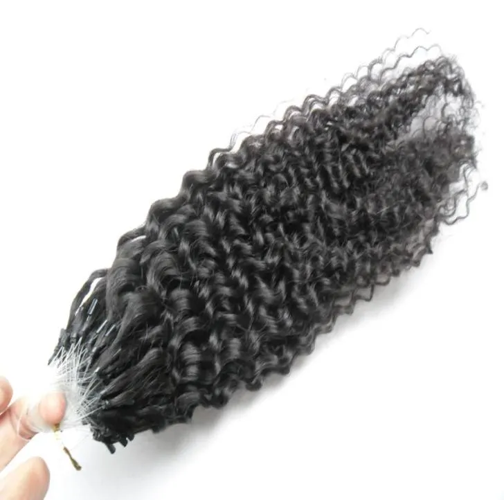 100G Micro Ring Hair Extensions Deep Curly 1Gstand 100Pieces Machine Made Remy Micro Bead Hair Loop Human Hair3142733