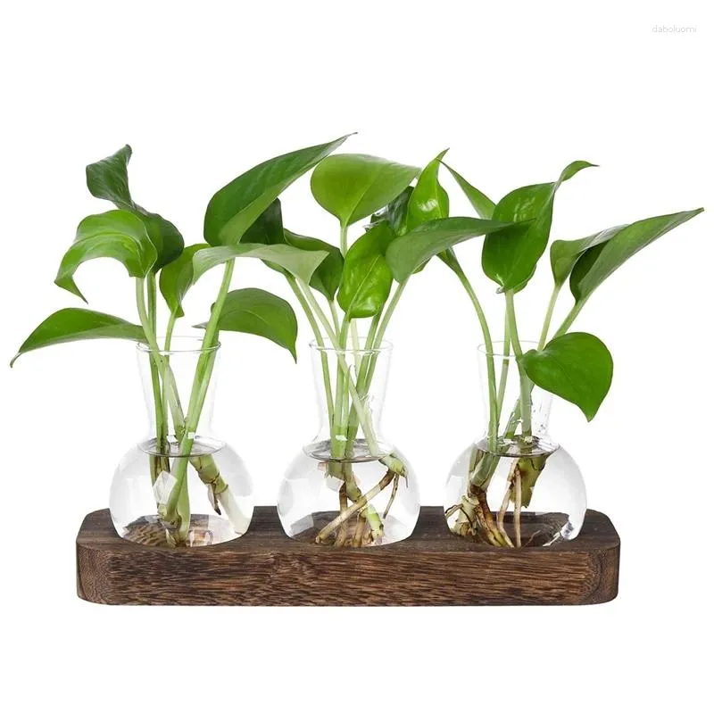 VASE PLANTS PROPAGATION STATIONS GLASE VASE STATION RETRO PLANT TERRARIUM WHODE WOODED TRAY BULB FLOWER HOME OFFIRER