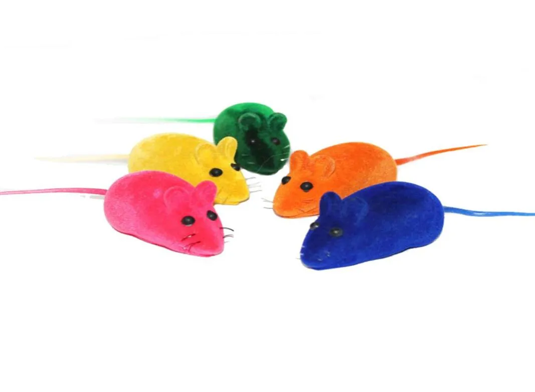 Chien chat jouant des micros grincement bruit jouet belle Rat jouet souris fausse souris boule multicolores5209916