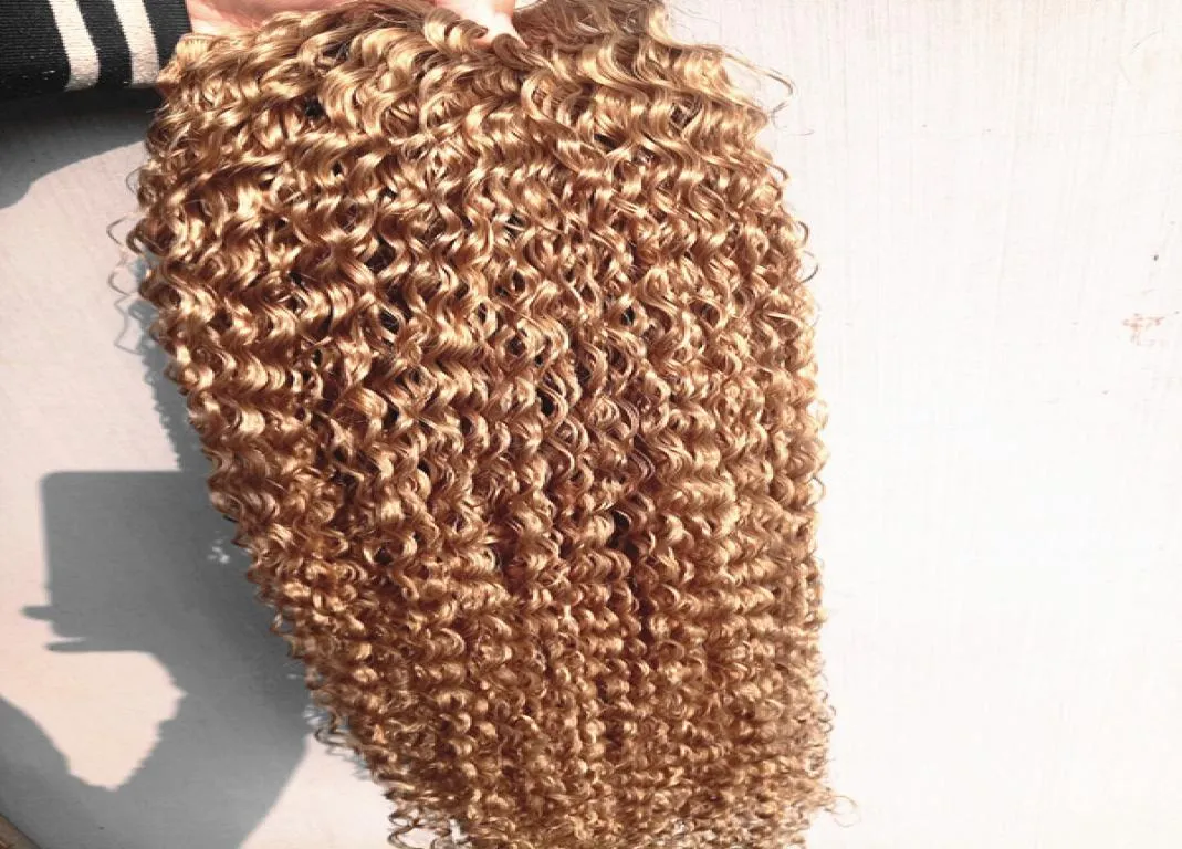 Brasilianska mänskliga jungfru remy kinky lockiga hårförlängningar remy mörk blond färg hår weft 23bunds för full huvud5952531