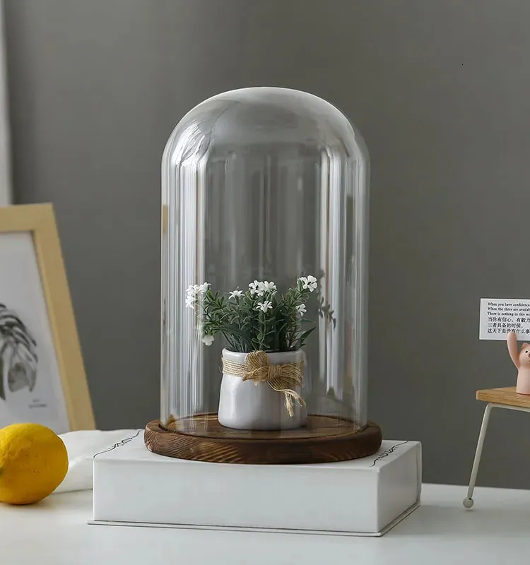 Glass Dome Display With Wooden Base Tabletop Glass... From Kong09, $13. ...