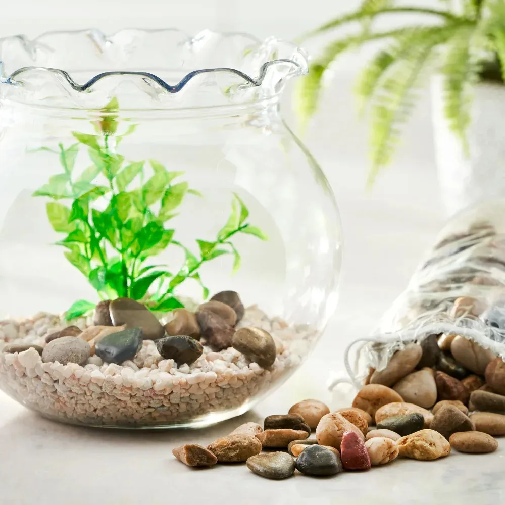 Pets at home fish accessories hotsell