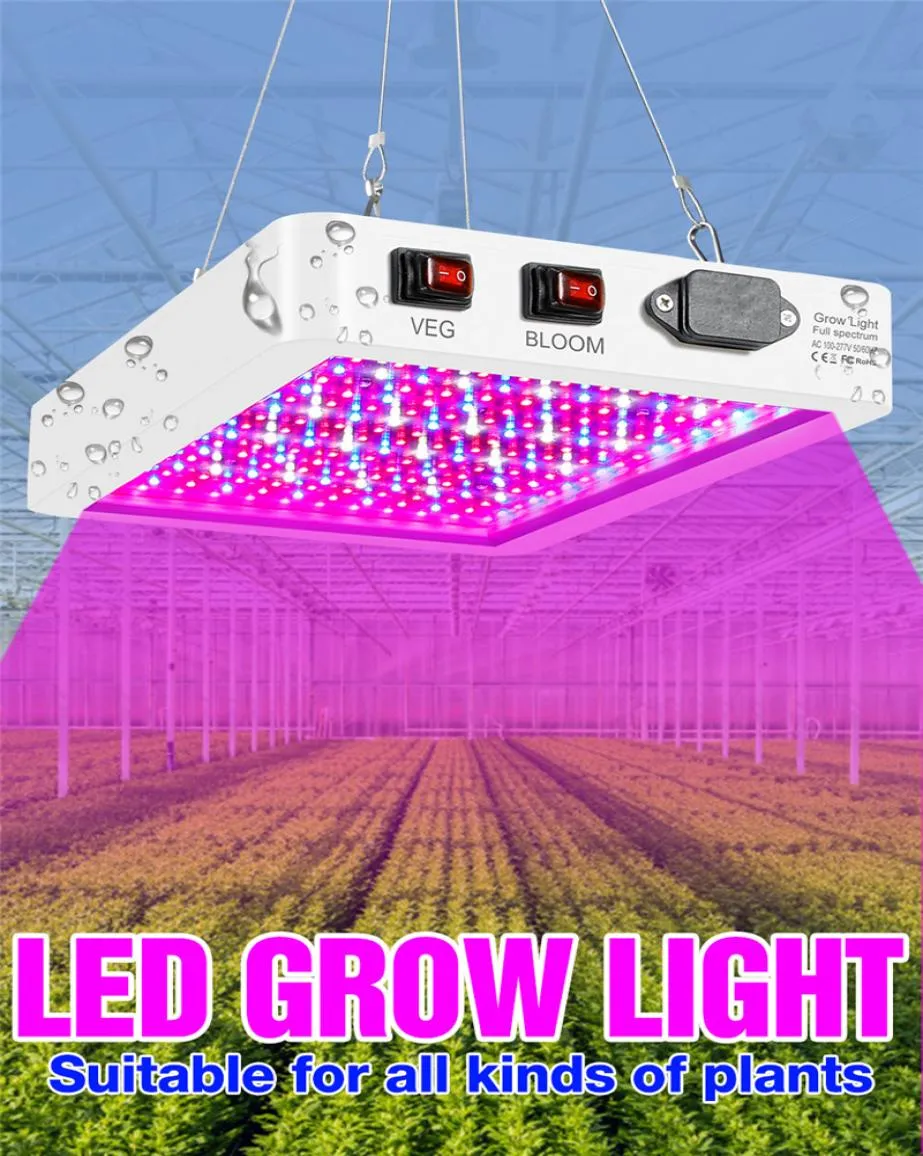 Spettro completo LED Phyto Grow Lamp 85265V Pianta Fito Light 1000W 2000W Lampadina per coltura idroponica Tenda interna Grow Box Lampade per semi di verdure5643604