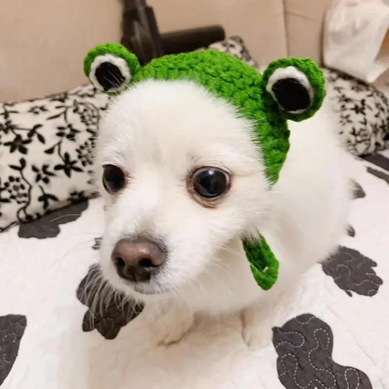 Köpek giyim kedi headgear el örtüsü 3d kurbağa göz dekor evcil hayvan şapka rahat sonbahar kış için sevimli malzemeler başlık