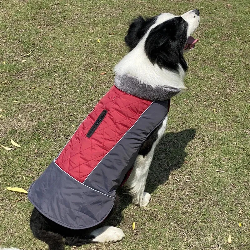 暖かいフリースカラードッグコートジャケットダブルディッシュド冬の防水子犬服のための小さな大きな犬用品240226