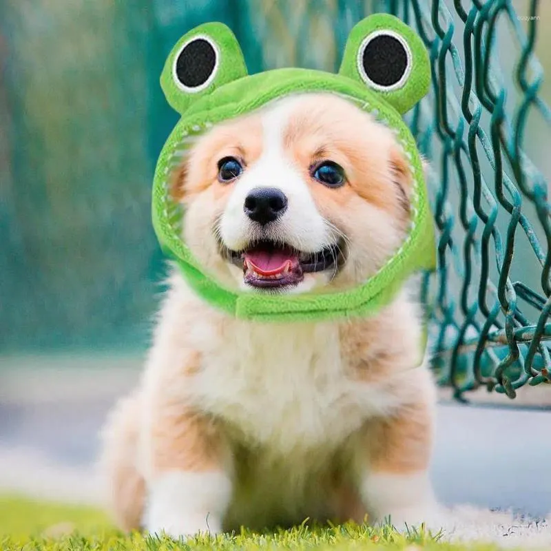 Köpek giyim bağlantı elemanı Pet şapka Peluş Plush Frog Headgear Moda Aksesuar Partiler için Po Props Tatil Kış