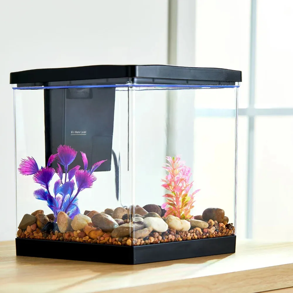 Kids Fish Live Aquarium Plants Pets At Home Miniature Aquarium