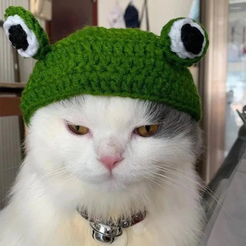 Vêtements pour chiens 3D Frog Eye Chapeau pour animaux de compagnie Décor tricoté à la main Couvre-chef mignon pour l'automne hiver Petit chat de dessin animé Fournitures