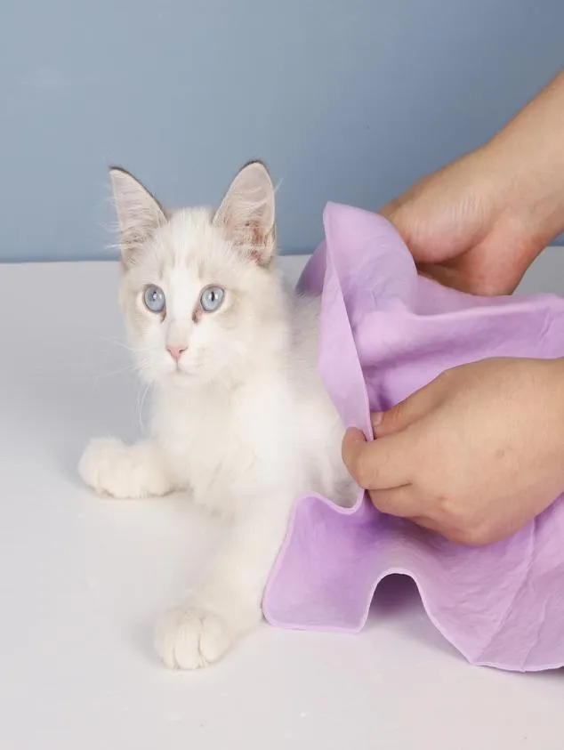 Groot 664302CM Superabsorberende handdoek Sneldrogend Huisdierbad Zacht l Machinewasbaar Geschikt voor honden en katten van elk formaat huisdieren1199067