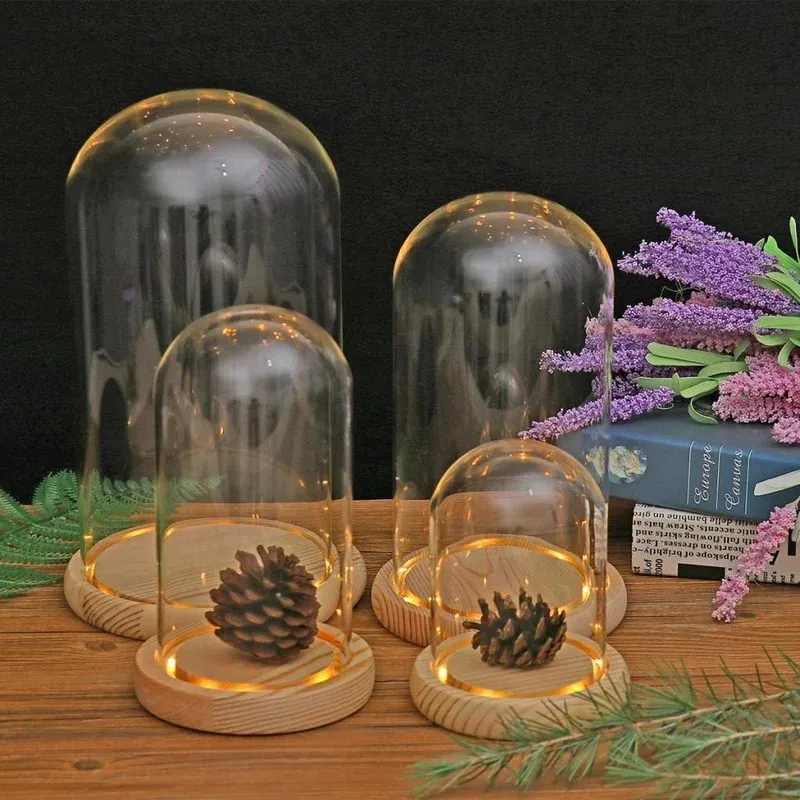 Dôme en verre Base en bois Conteneur Affichage de table Couvercle en verre Ornements de fleurs sèches Artisanat Poussière Cloche Pot Terrarium Paysage Vase 240229