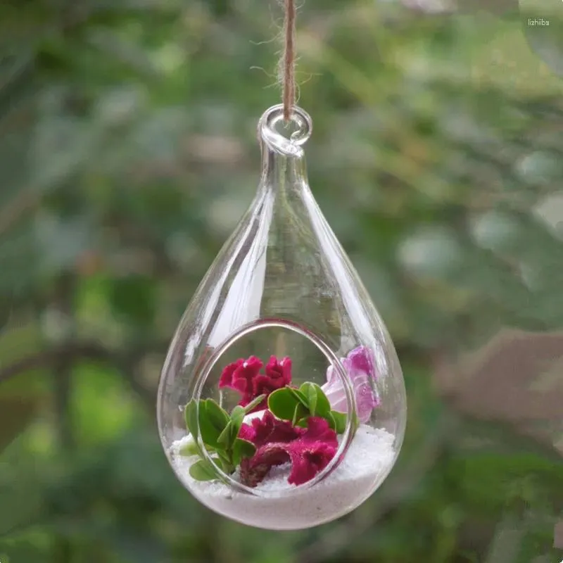 ボトル6pcs/pack 10 13cmミドルサイズ手作り吊りガラス花瓶肉植物水耕透明透明なテラリウムホームデコレーションクラフト
