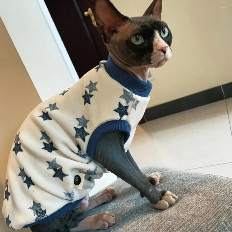 Kattdräkter fleece tröja för Sphynx vinter varma stjärnor kappkattungar mjuka tjocka korta ärmar sweatshirt devon rex kläder