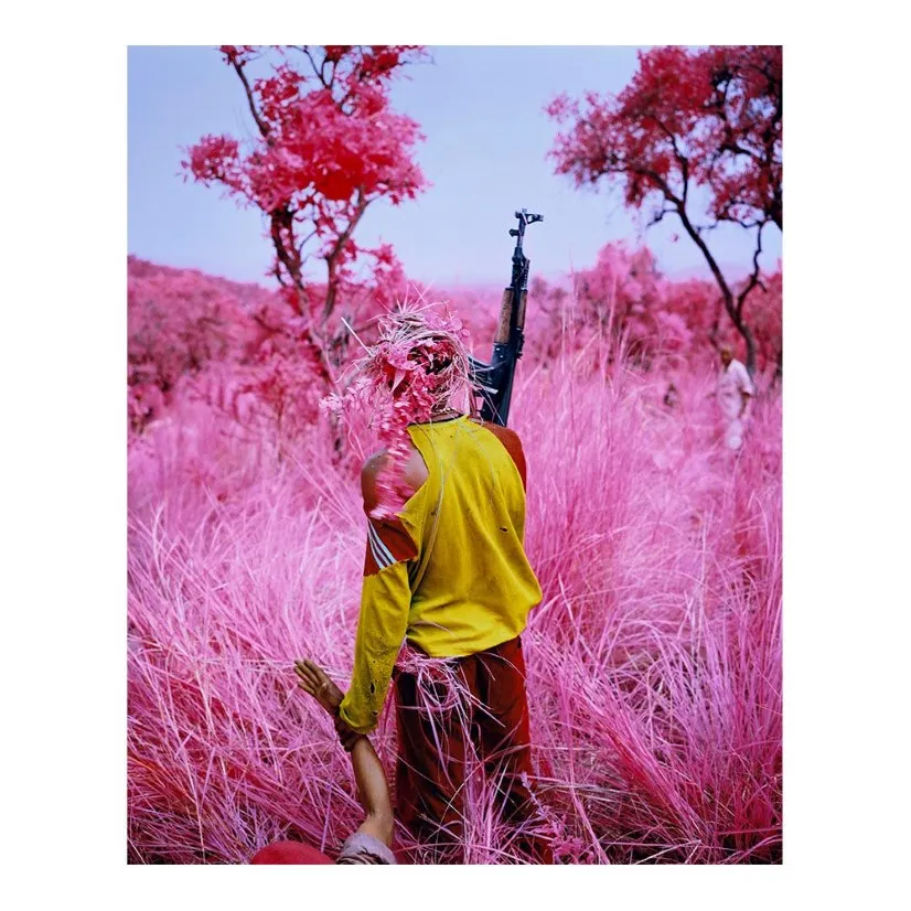 Richard Mosse Pography Painting Courtesy Of The Artist And Jack Shainman Poster Print Home Decor Framed Or Unframed Popaper 299g