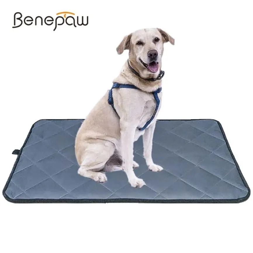 Benepaw All Season Bite Conesant Dog Mat antislip pet bed pet bed for small اطلب من الكلاب الكبيرة الكلاب القابلة للغسل 210401184F