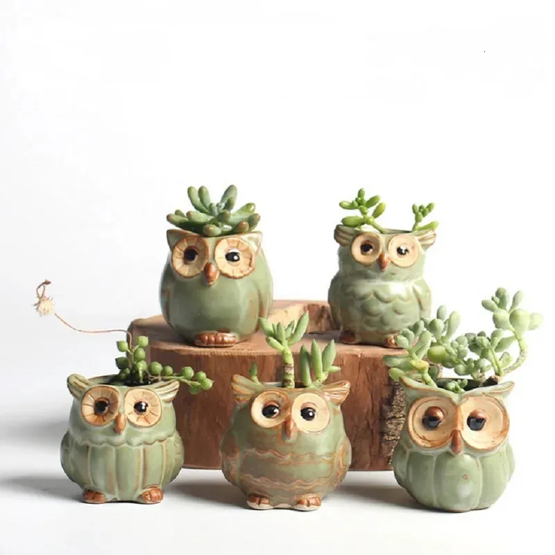 5 stks/set Keramische Uil Vorm Tuin Bloempot Bureau Plant Pot Creatief Ontwerp Succulente Plantenbak Pot Huis Tuin Decoratie outdoor 240309