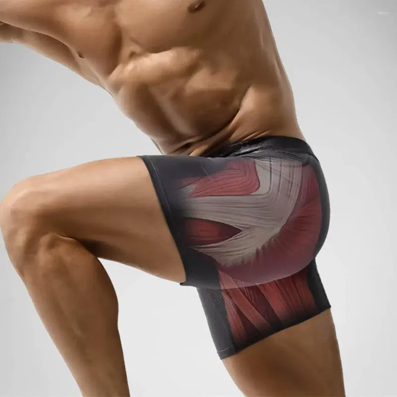 Underpants homens calcinha de verão respirável malha roupa interior masculina com u bolsa convexa design de perna longa para suporte de conforto alto