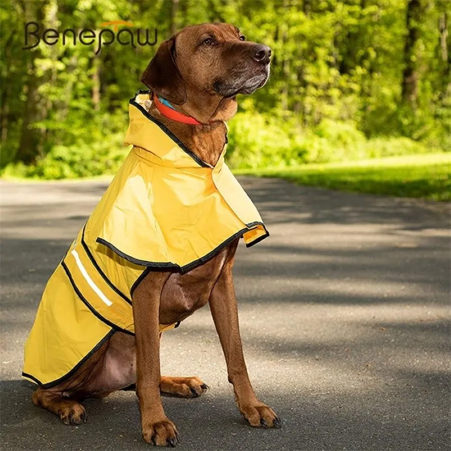 Benepaw reflekterande husdjurshund regnrock stor snygg säker liten medelstora stora hundkläder vattentät kappa guld retriever labrador 2011286h