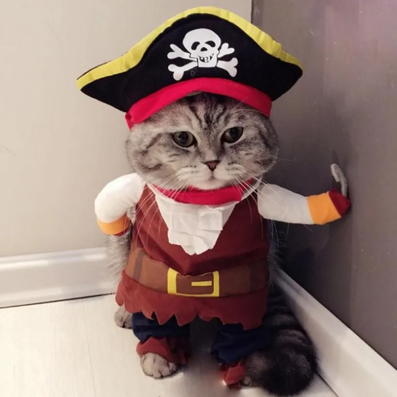 Cat Costumes Pet Costume Pirate Dog and Clothes Passar Kläder för katter Party Dress Up Halloween Cosplay HAT257W