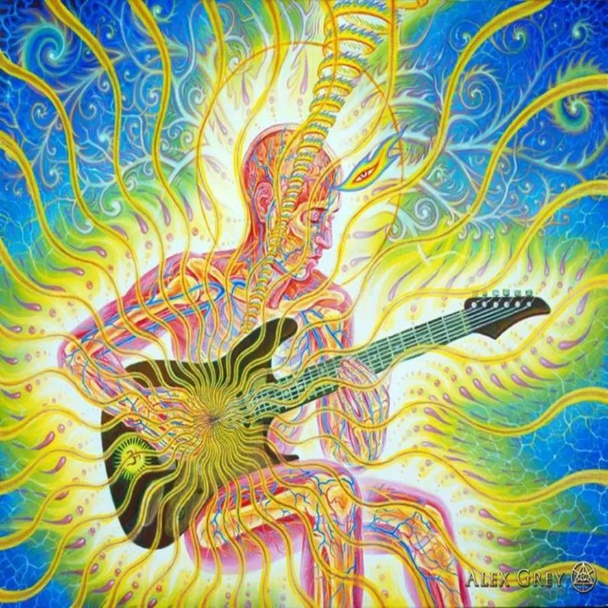 poster 28x24 16x13 Trippy Alex Grey Wall Poster Print Home Decor Wall Stickers poster Decal--055275B