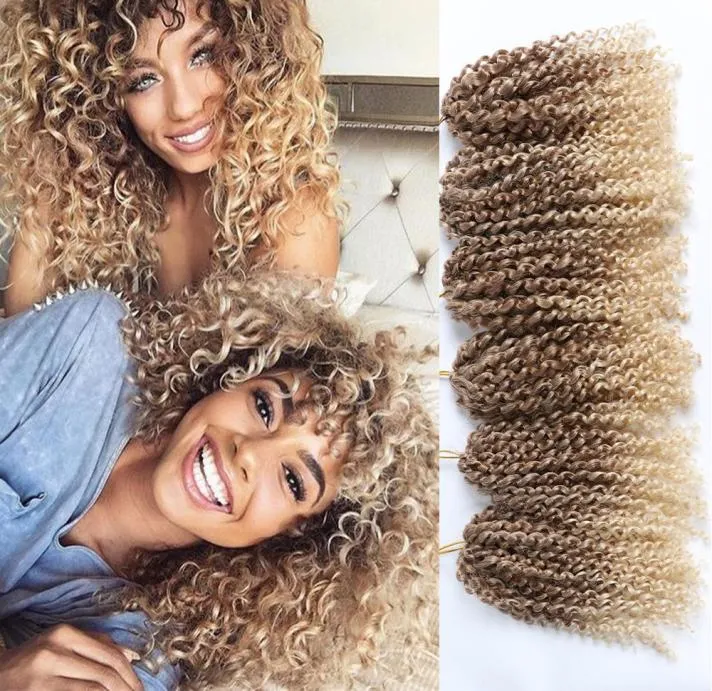 3 pièces 10 pouces Marlybob Crochet cheveux tresses vague d'eau crépus bouclés synthétiques cheveux Extensions Ombre Jerry Curl cheveux fo9335130