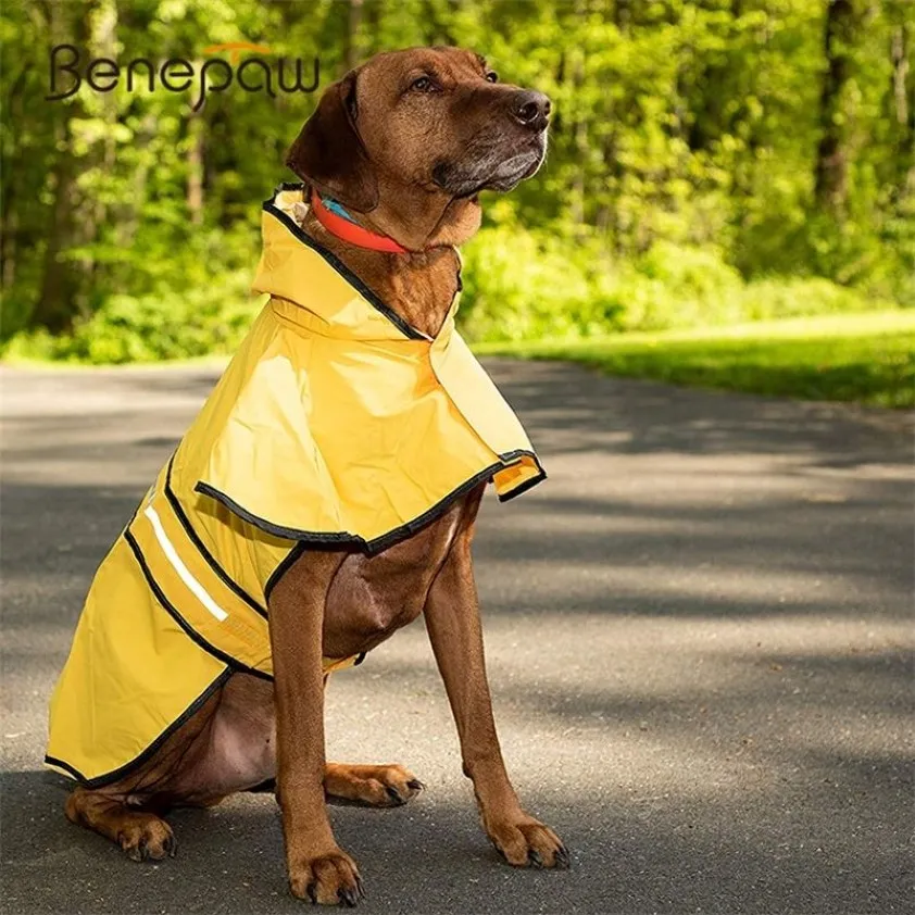 Benepaw reflekterande husdjurshund regnrock stor snygg säker liten medelstora stora hundkläder vattentät kappa guld retriever labrador 2011275d