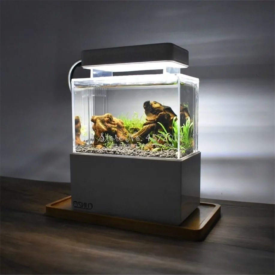 Uppgraderad plastbehållare LED -ljus skrivbordsfiskskål med vattenfiltrering Tyst luftpump Mini Aquarium Y2009222755