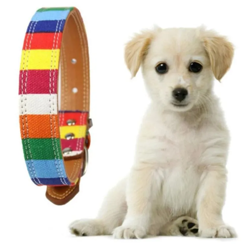 Collier en cuir et toile arc-en-ciel coloré pour chien, collier à boucle réglable, fournitures pour animaux de compagnie, 254Z