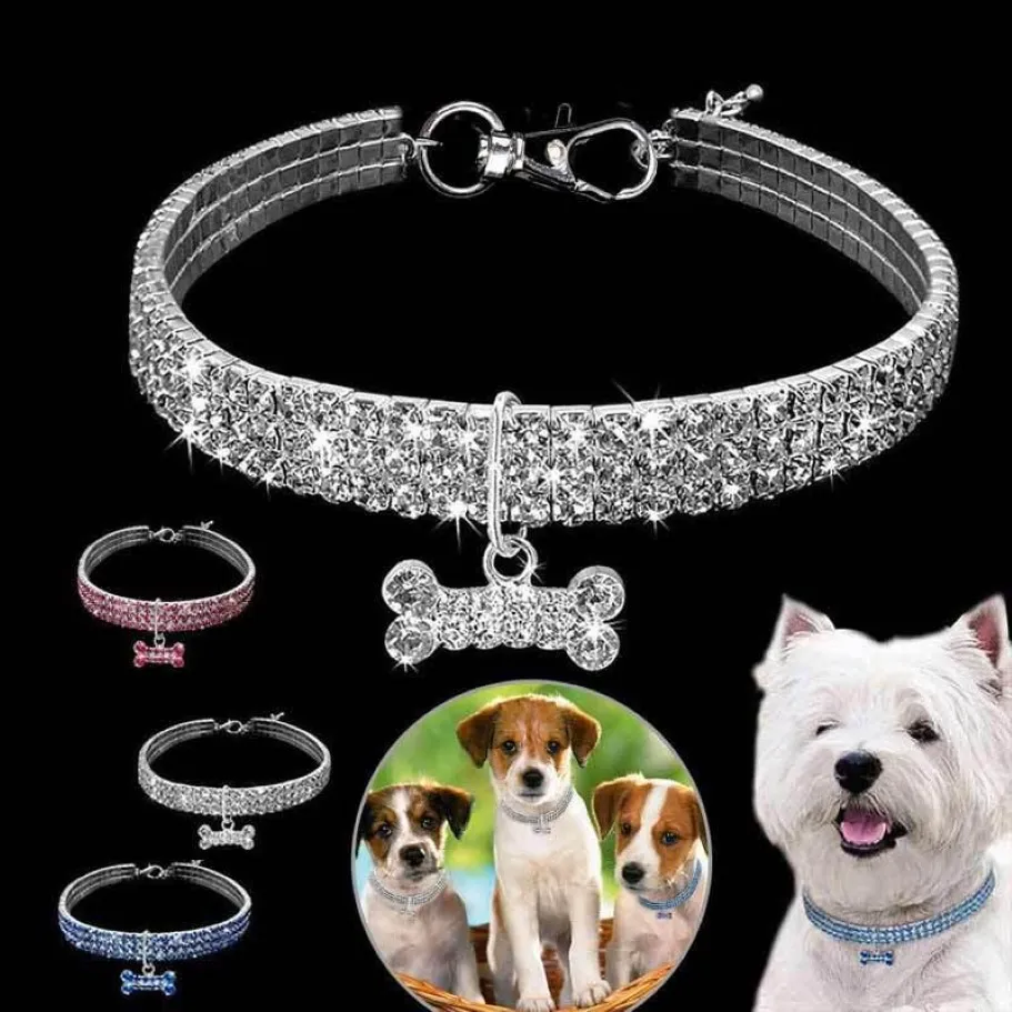 Obroże dla psów smyczy moda Bling kryształowy kot Regulowany naszyjnik dla małych psów koty Chihuahua Pug Yorkshire Pet Collar Acceso174n