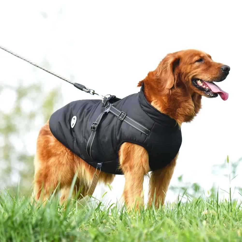 Winddichte hondenjas voor koud weer Huisdier Winterbuitenjas met riemring Comfortabel katoenen kleding Waterdicht vest voor grote honden 240226