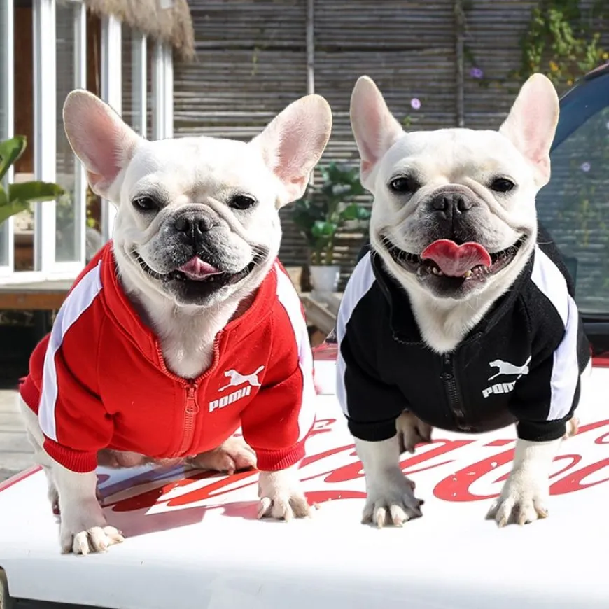 Zacht en warm hondenjack Designer hondenkleding Huisdierkleding Sublimatie bedrukt sweatshirt voor kleine honden Chihuahua Yorkie Frans Bu311j