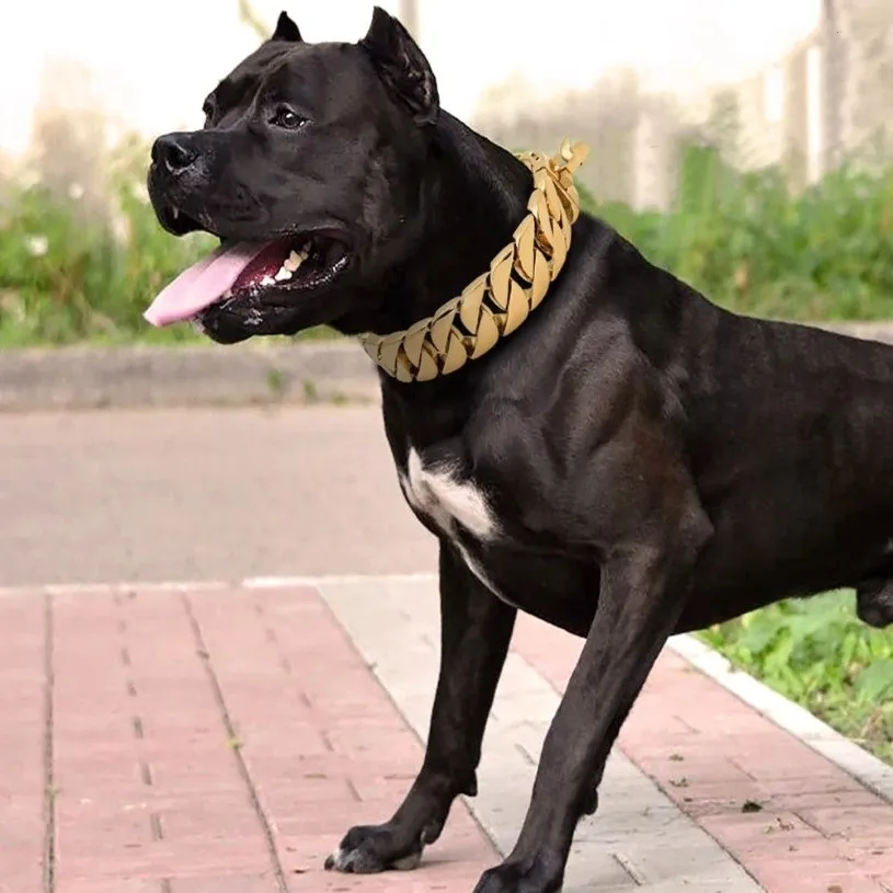 30 mm stark metall hundkedja krage rostfritt stål husdjursträning choke krage för stora hundar pitbull bulldog silver guld show coll269b