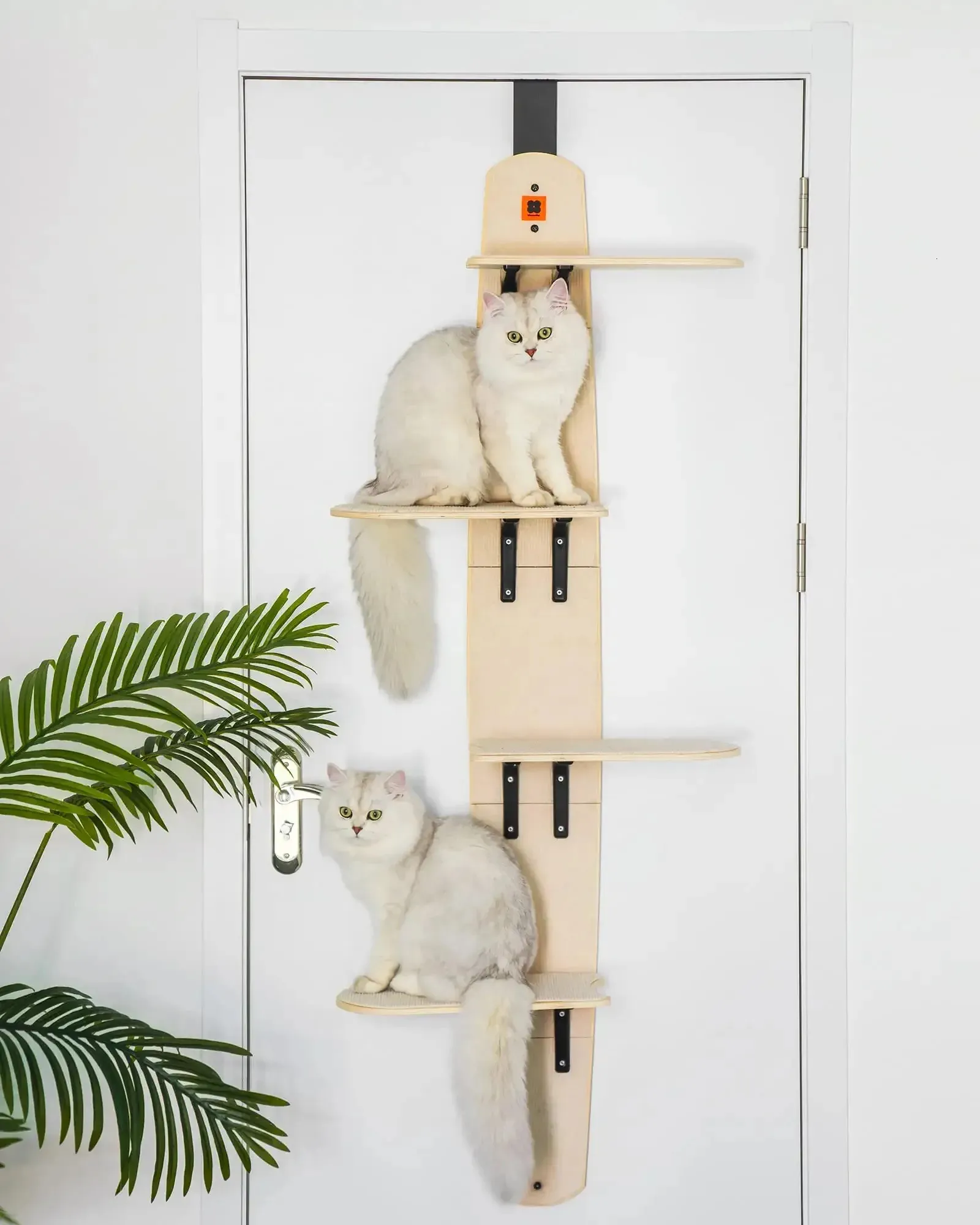 Mewoofun cama suspensa de porta para gato, madeira de pinho, ecológica, boa estabilidade, placa de arranhões, fácil montagem, quadro de escalada para animais de estimação 240309