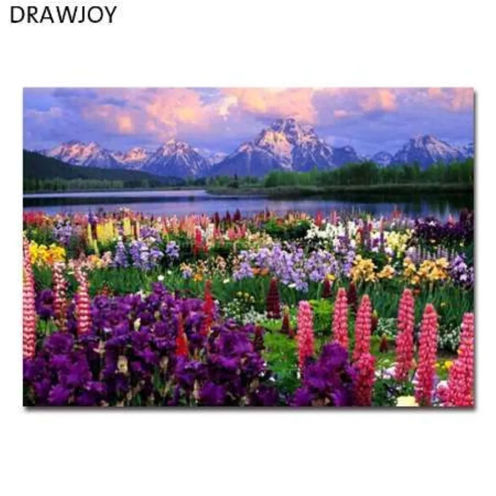 Drawjoy quadro paisagem imagem diy pintura a óleo por números pinturacaligrafia decoração para casa arte da parede gx21019 40x50cm246n