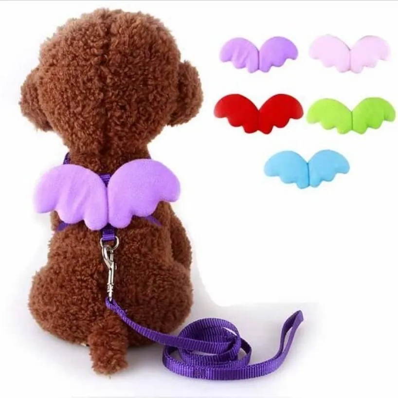 Cute Angel Pet Dog Leashes and Collars Set Puppy Leads for Small Dogs Cats Designer Wing Adjustable Dog Harness Pet Accessories HJ2112