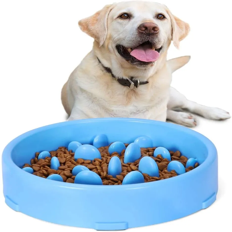 Köpek yavaş besleyici kase önleyici anti-mavna pet daha yavaş besleme yemekleri dayanıklı boğulmayı önleyen sağlıklı tasarım köpekleri214p
